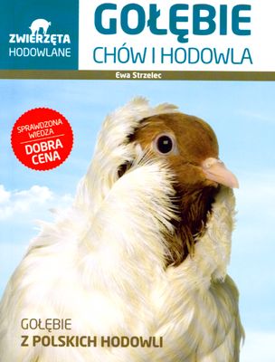 Image of Gołębie chów i hodowla zwierzęta hodowlane