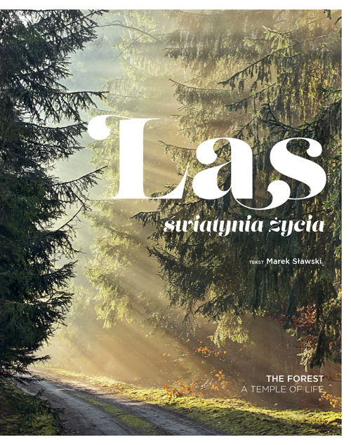 Image of Las. Świątynia życia wyd. 2024