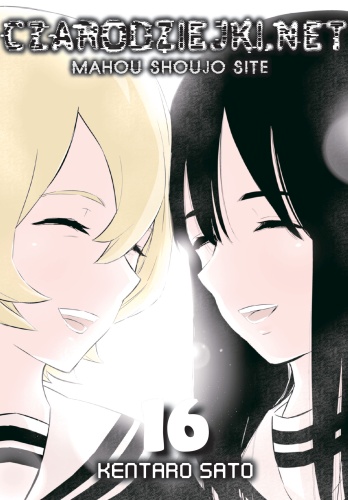 Image of Czarodziejki.net. Tom 16