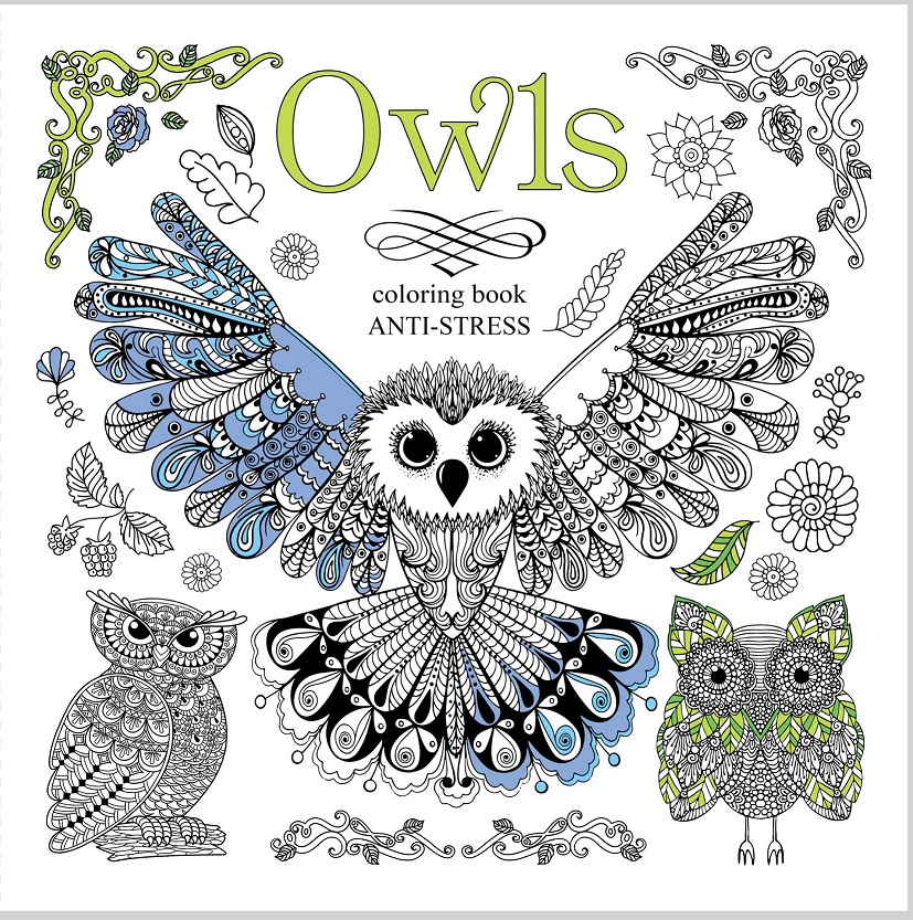 Image of Kolorowanka antystresowa 200x200 12 kartek BR Owls