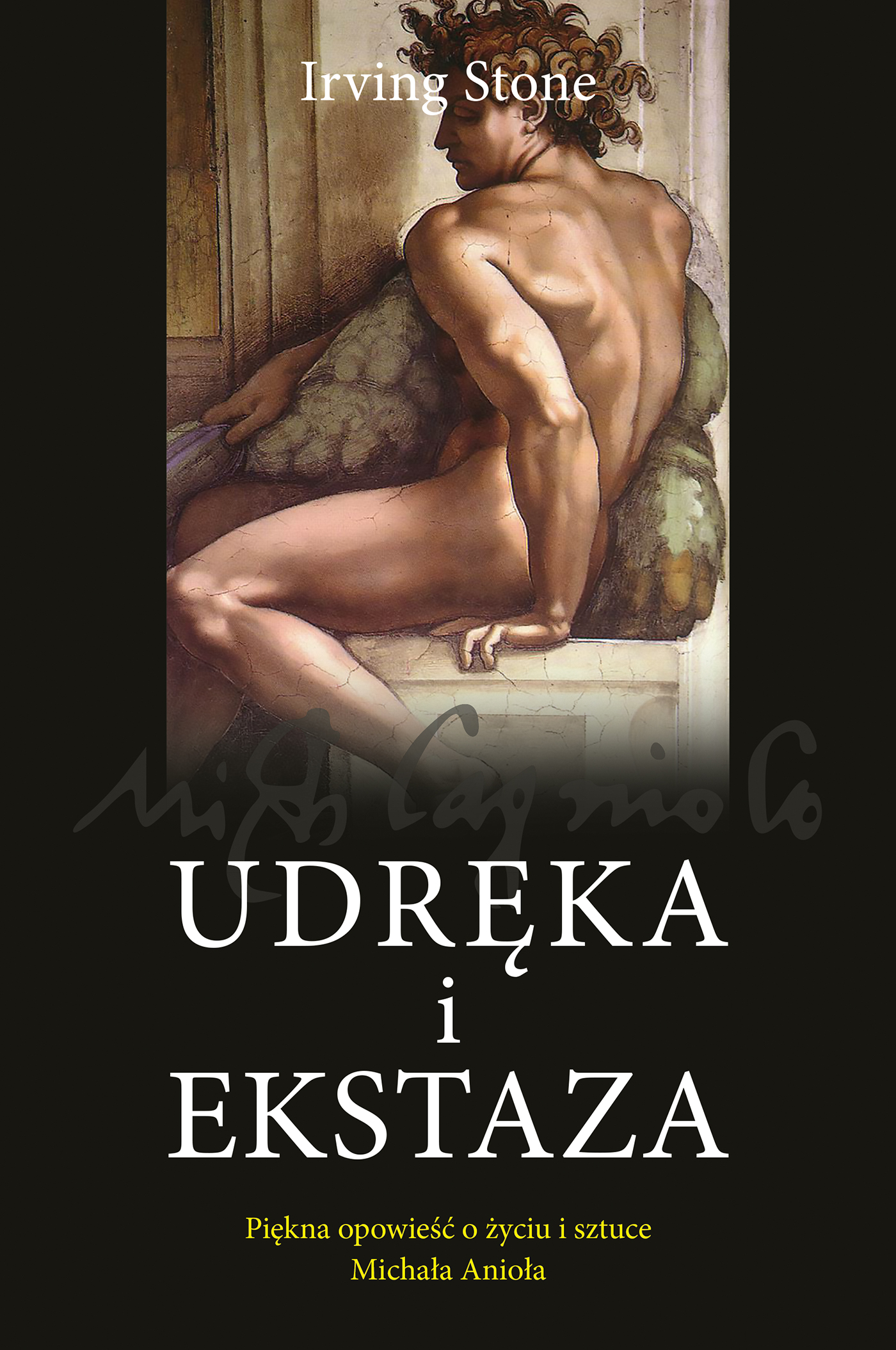Image of Udręka i ekstaza