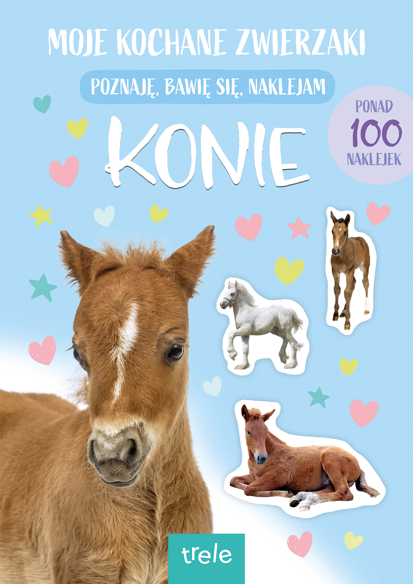 Image of Konie. Moje kochane zwierzaki