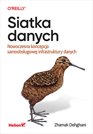 Image of Siatka danych. Nowoczesna koncepcja samoobsługowej infrastruktury danych