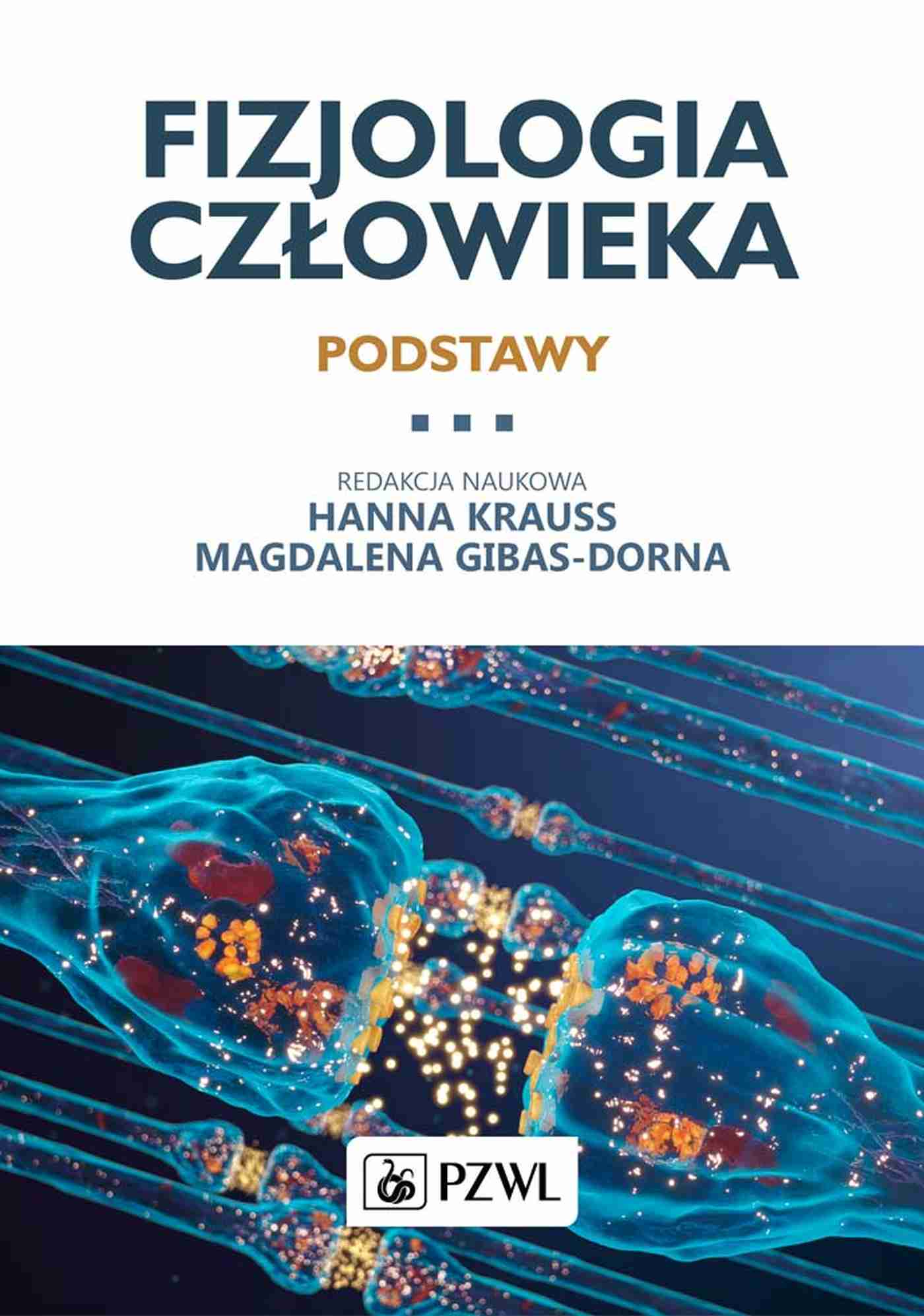 Image of Fizjologia człowieka. Podstawy