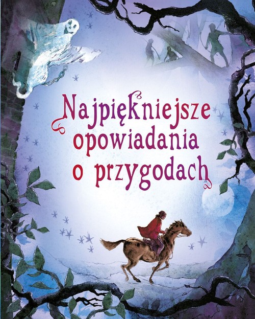 Image of Najpiękniejsze opowiadania o przygodach