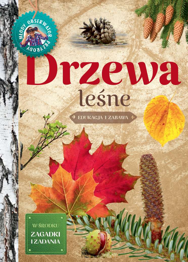 Image of Drzewa leśne. Młody Obserwator Przyrody