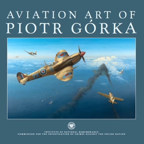 Image of Aviation art of Piotr Górka