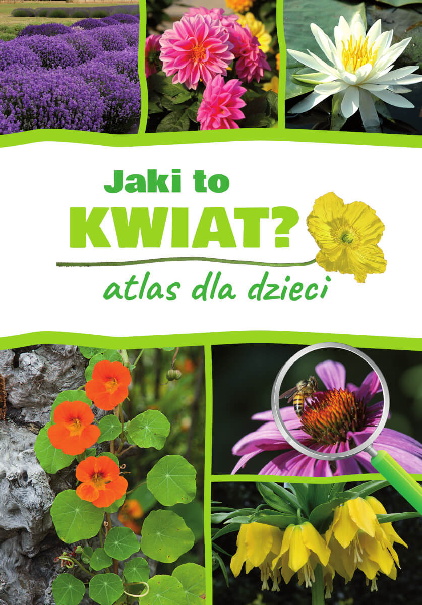 Image of Jaki to kwiat? Atlas dla dzieci