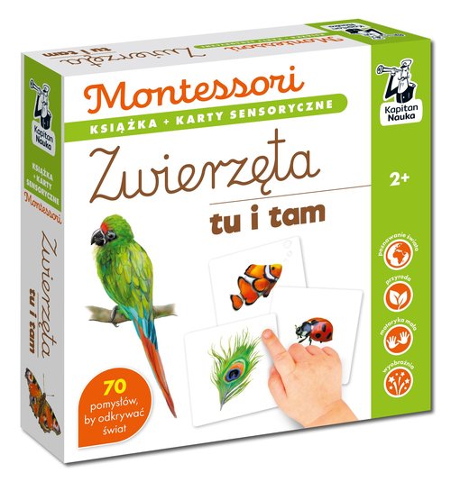 Image of Montessori Zwierzęta tu i tam Karty sensoryczne z książeczką Kapitan Nauka