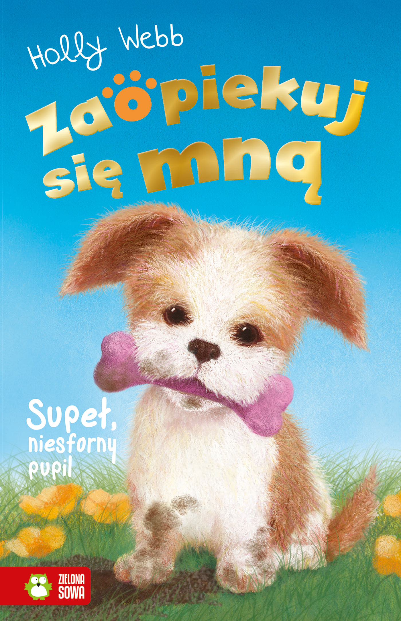 Image of Supeł, niesforny pupil. Zaopiekuj się mną