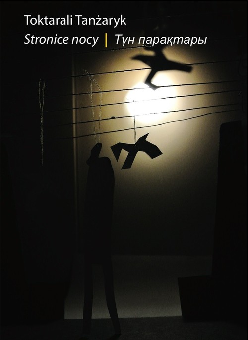 Image of Stronice nocy