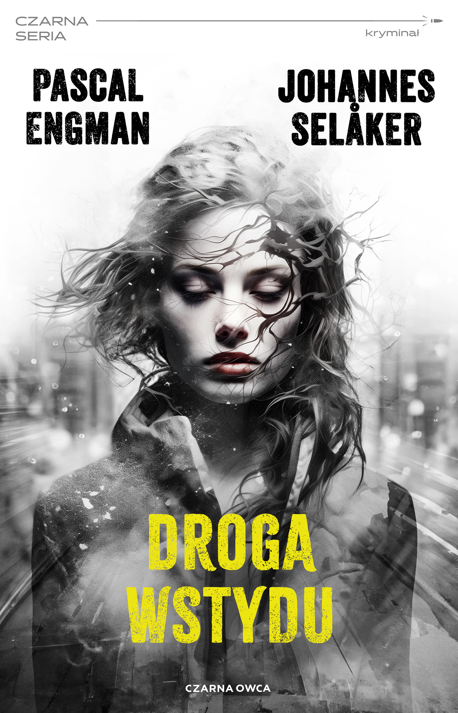 Image of Droga wstydu. Tomas Wolf i Vera Berg. Tom 2