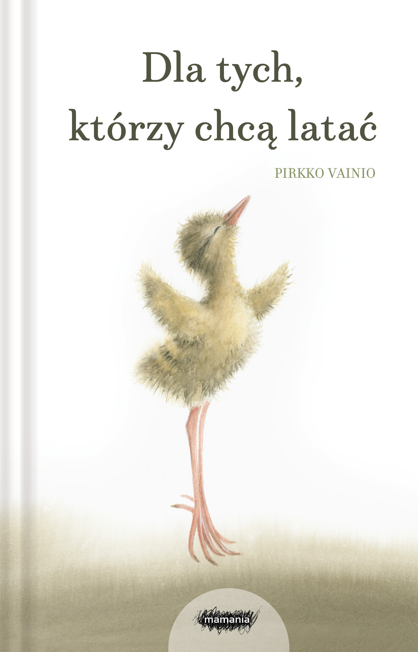 Image of Dla tych, którzy chcą latać