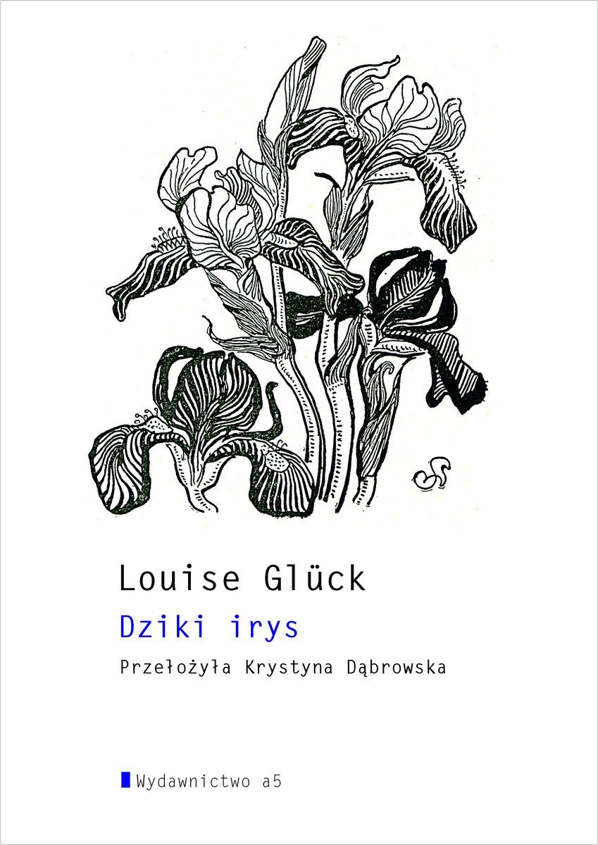 Image of Dziki Irys