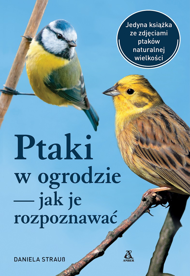 Image of Ptaki w ogrodzie — jak je rozpoznawać wyd. 2024