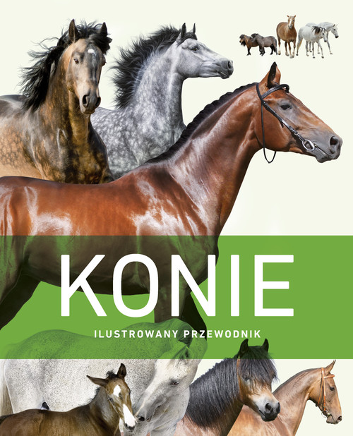Image of Konie. Ilustrowany przewodnik
