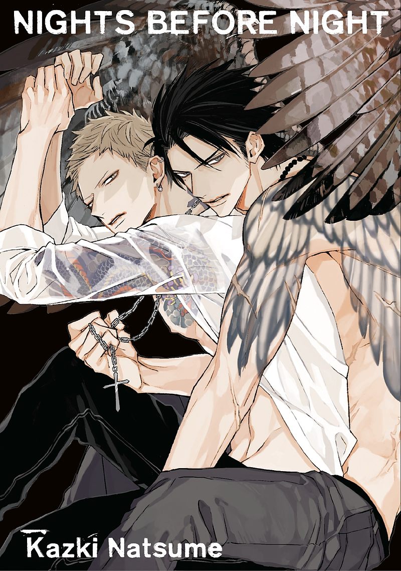 Image of Nights Before Night