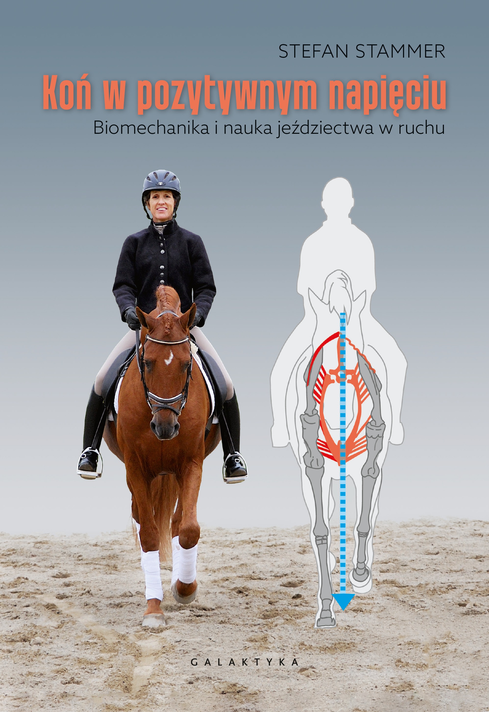 Image of Koń w pozytywnym napięciu. Biomechanika i nauka jeździectwa w ruchu