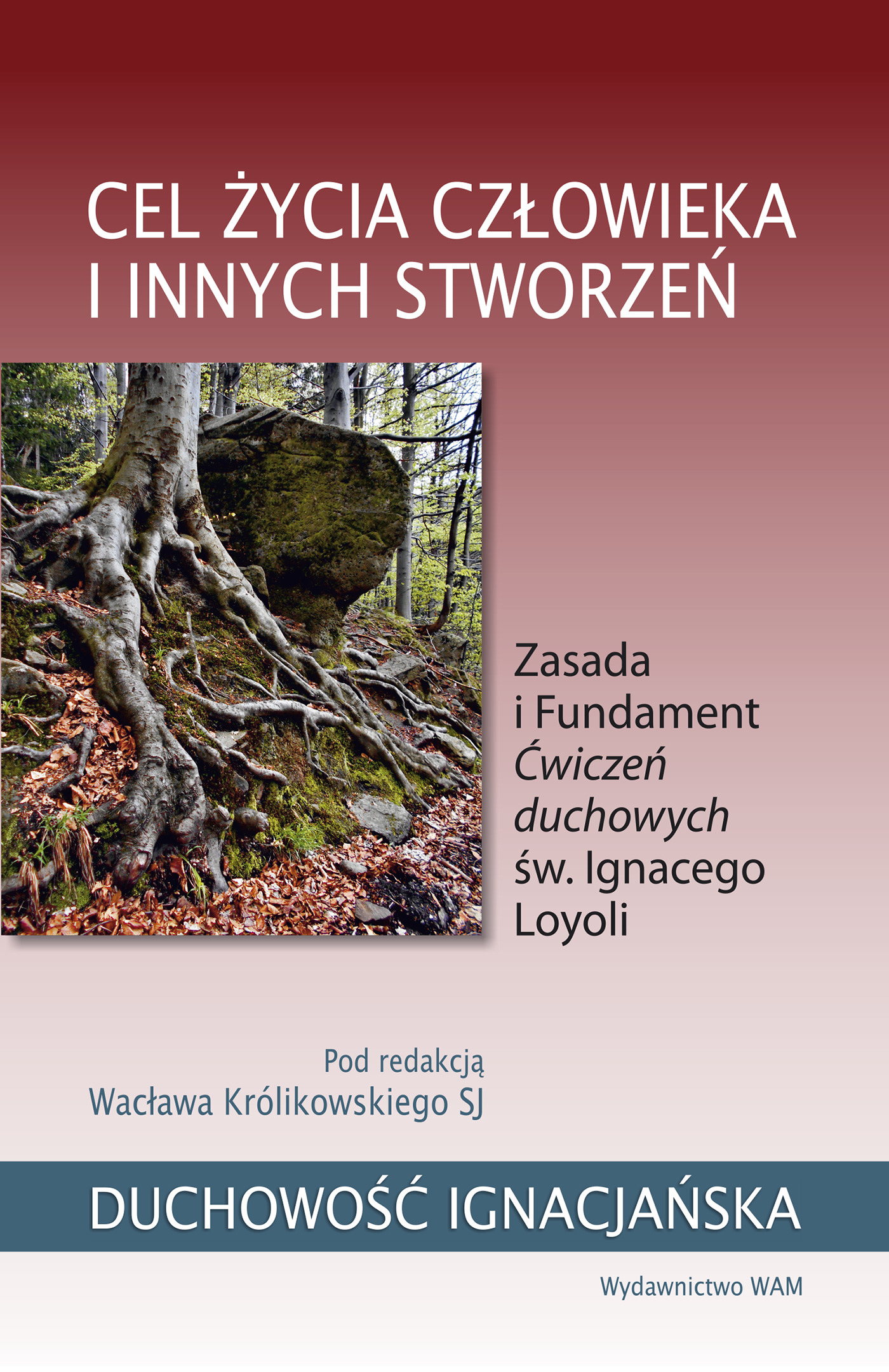 Image of Cel życia człowieka i innych stworzeń. Zasada i Fundament Ćwiczeń duchowych św. Ignacego Loyoli