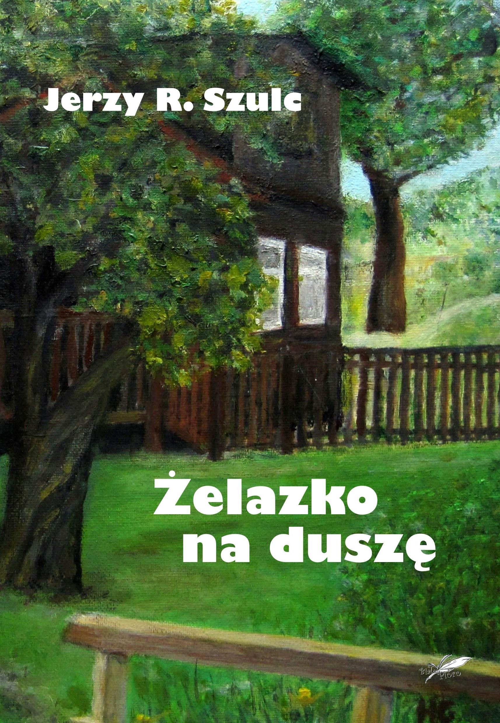 Image of Żelazko na duszę