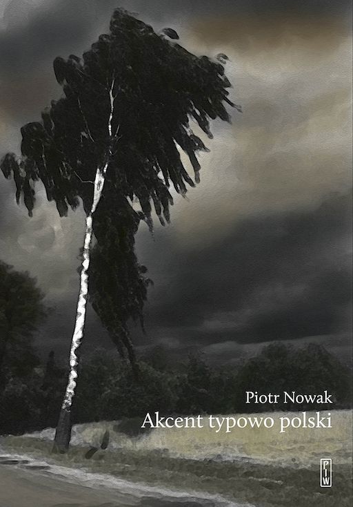 Image of Akcent typowo polski. Szkice o kulturze Polaków