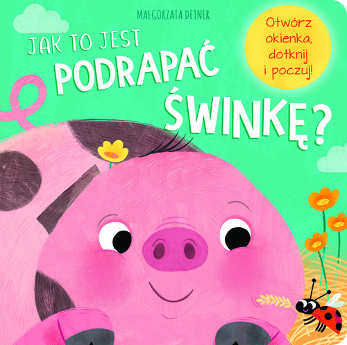 Image of Jak to jest podrapać świnkę?