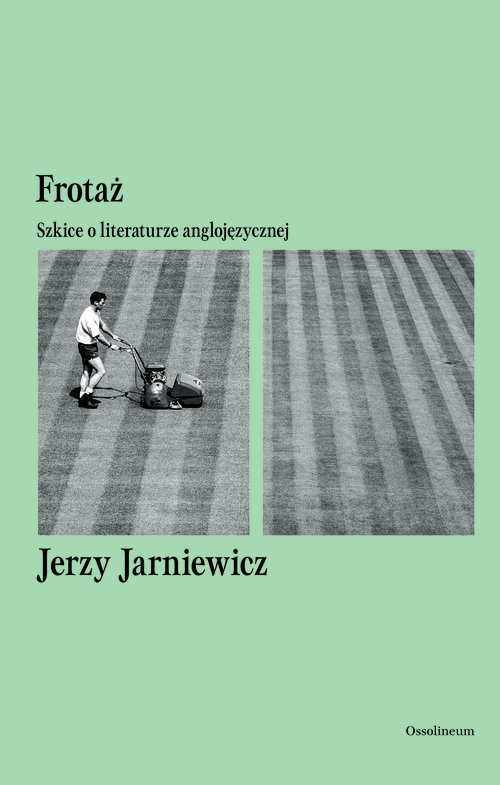 Image of Frotaż Szkice o literaturze anglojęzycznej