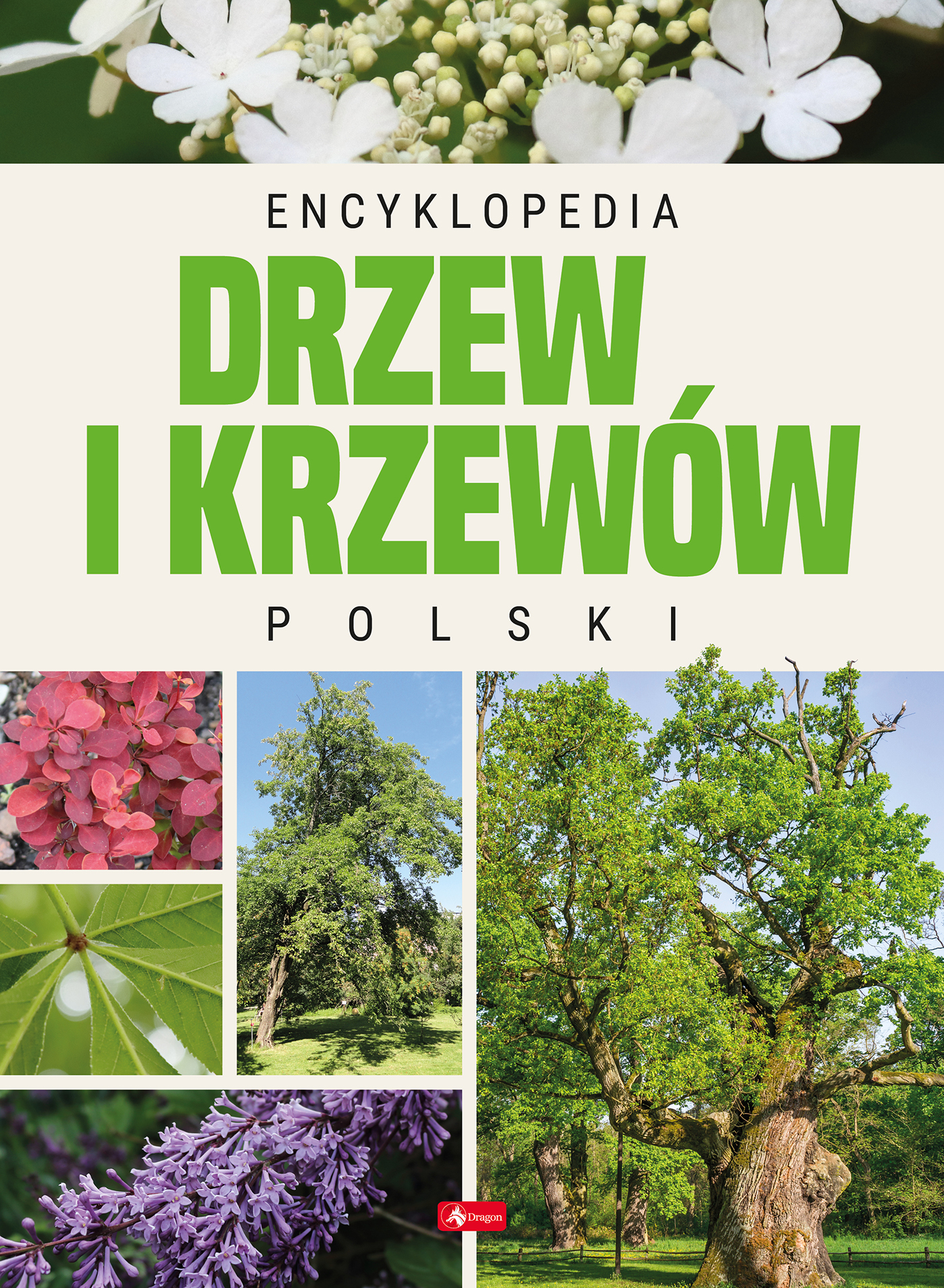 Image of Encyklopedia drzew i krzewów Polski