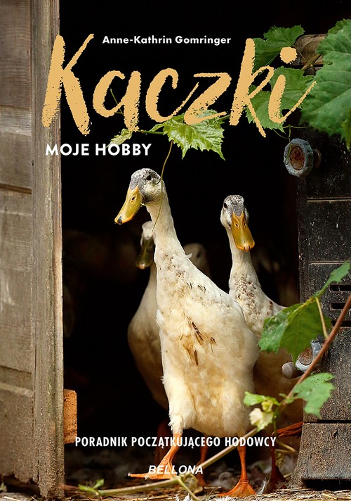 Image of Kaczki moje hobby Poradnik początkującego hodowcy