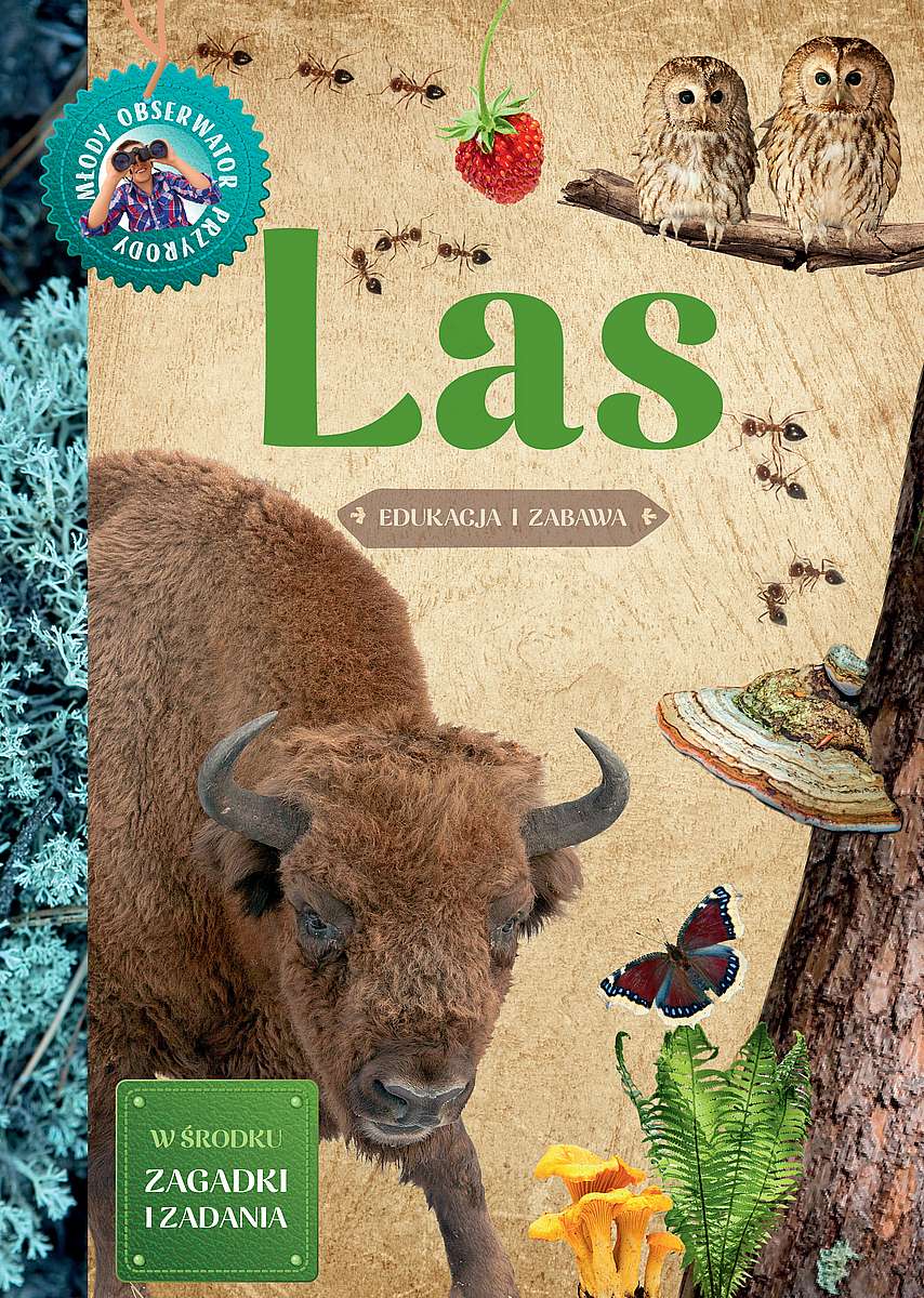 Image of Las. Młody Obserwator Przyrody