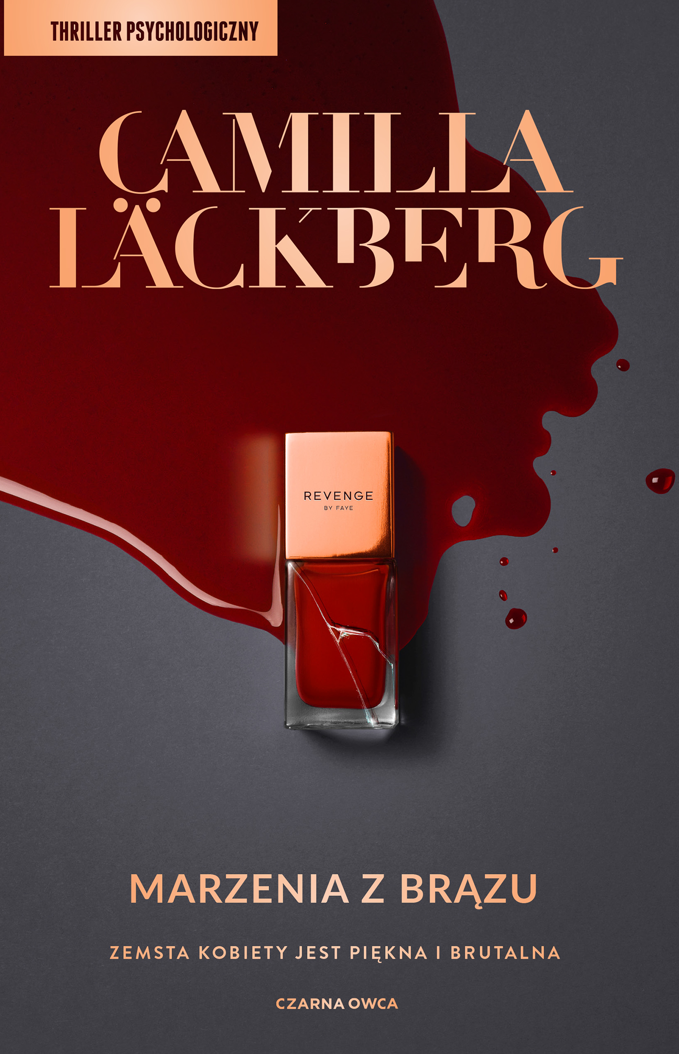 Image of Marzenia z brązu. Faye. Tom 3