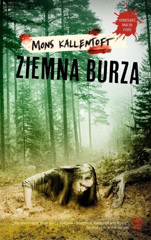 Image of Ziemna burza