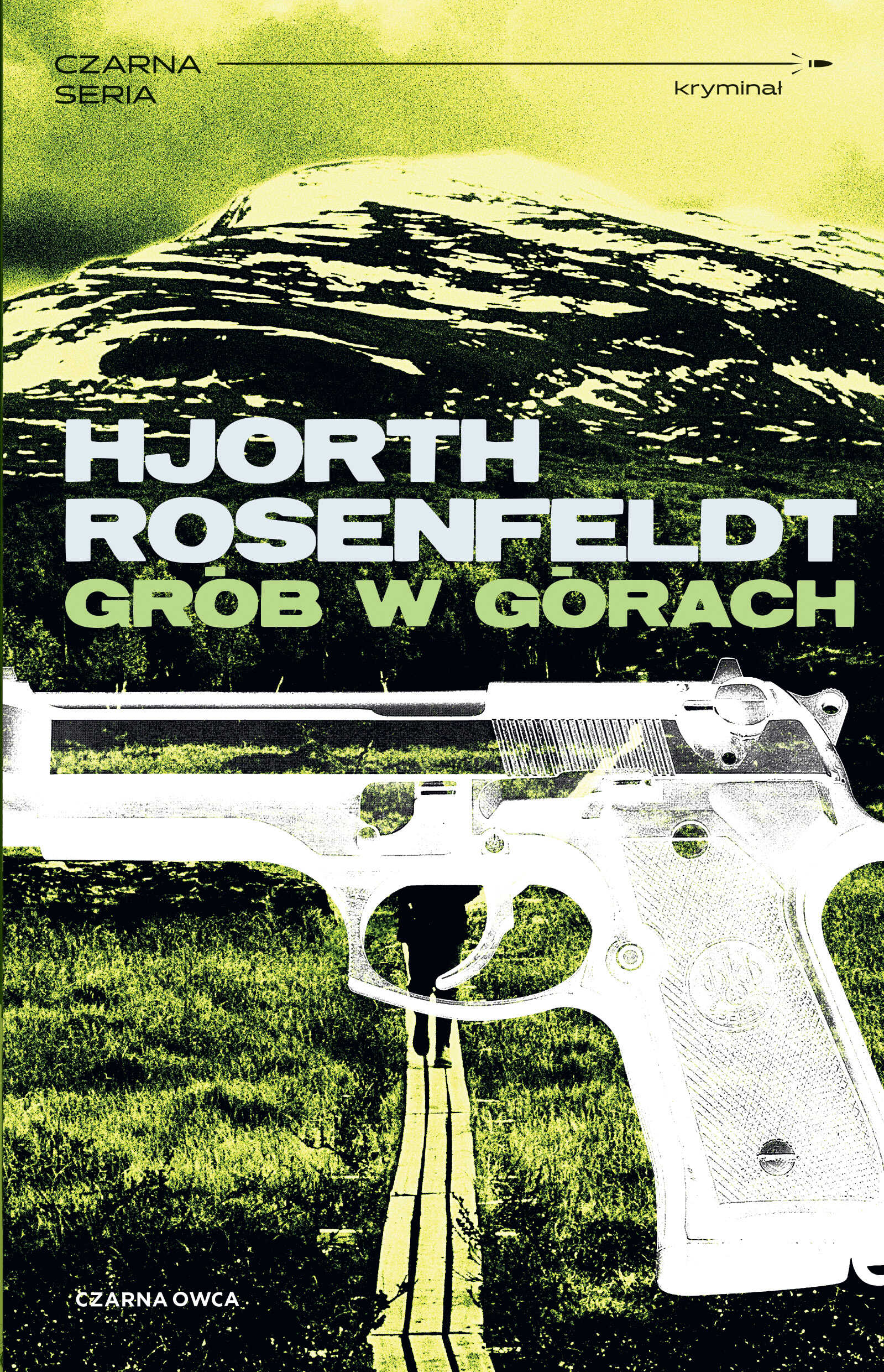 Image of Grób w górach. Sebastian Bergman. Tom 3