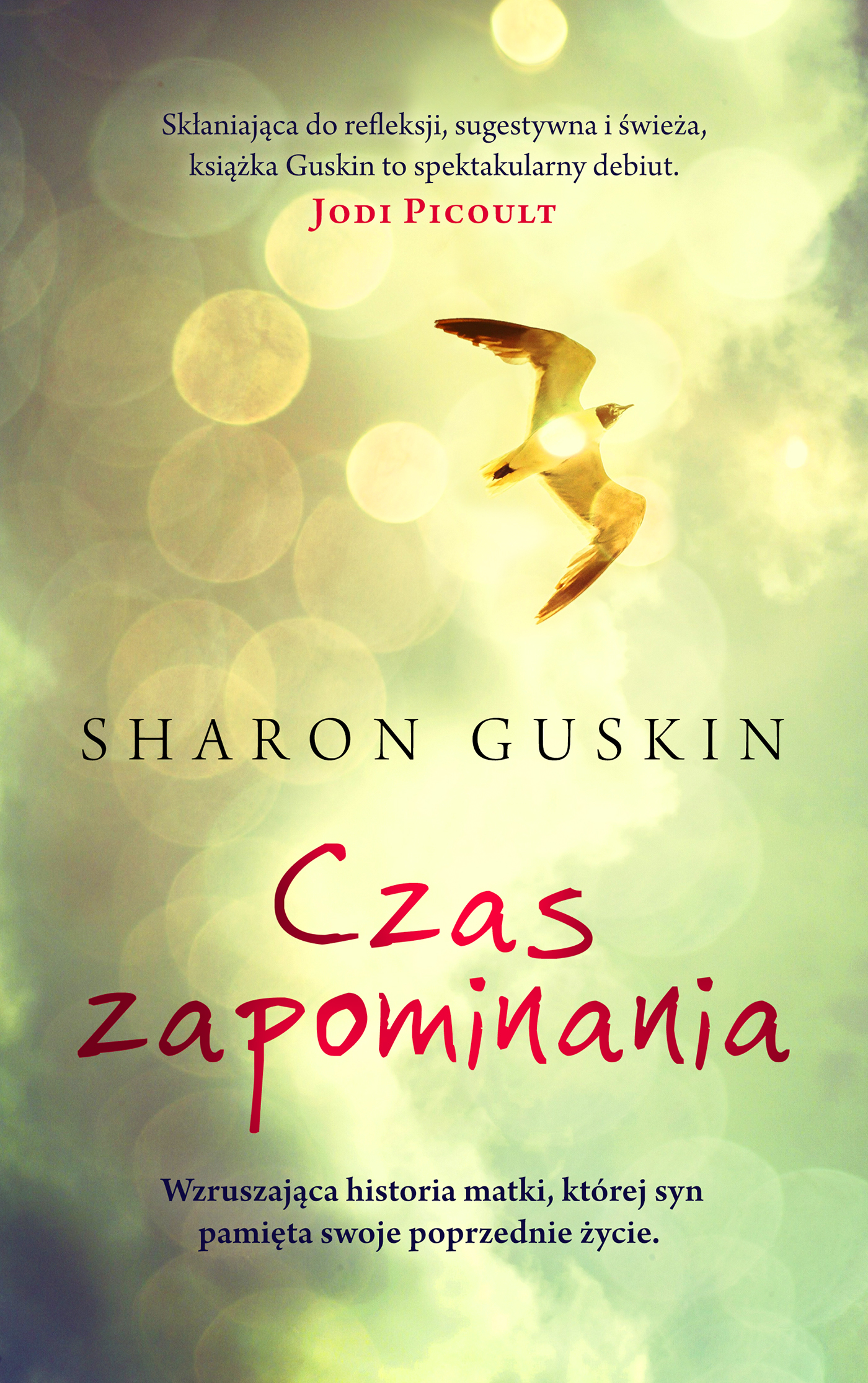 Image of Czas zapominania