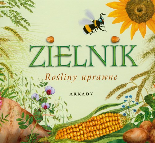 Image of Zielnik. Rośliny uprawne