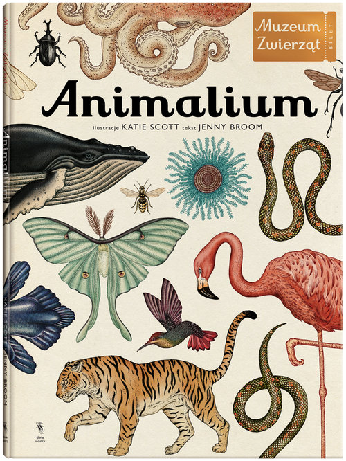 Image of Animalium
