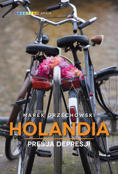 Image of Holandia. Presja depresji