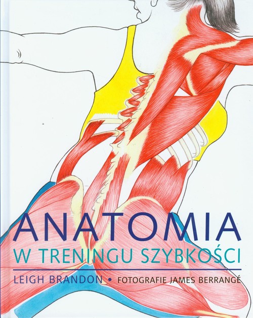 Image of Anatomia w treningu szybkości