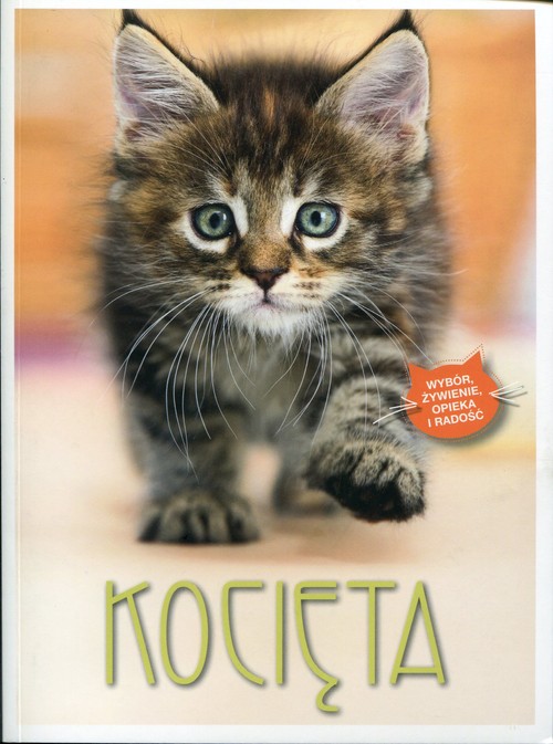 Image of Kocięta