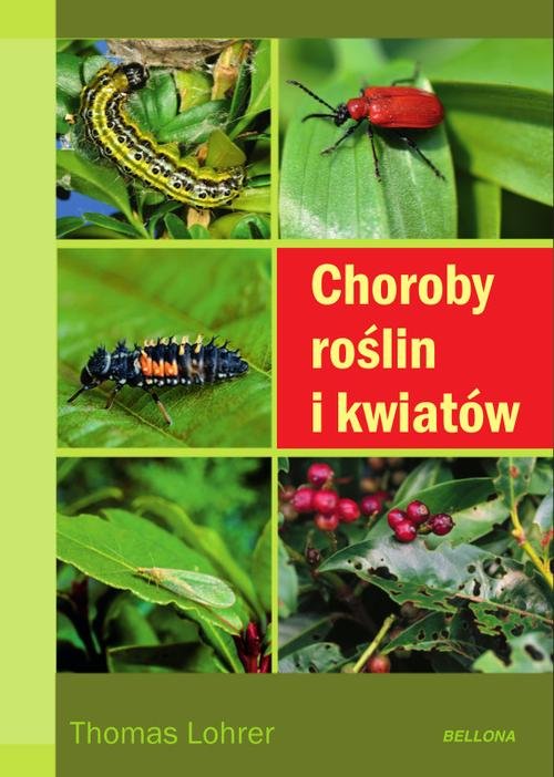 Image of Choroby roślin i kwiatów