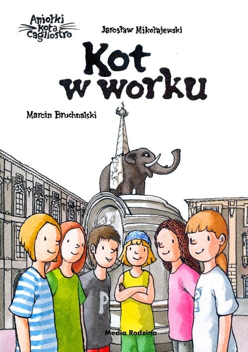 Image of Kot w worku