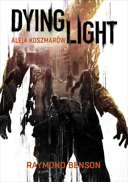 Image of Dying Light. Aleja Koszmarów