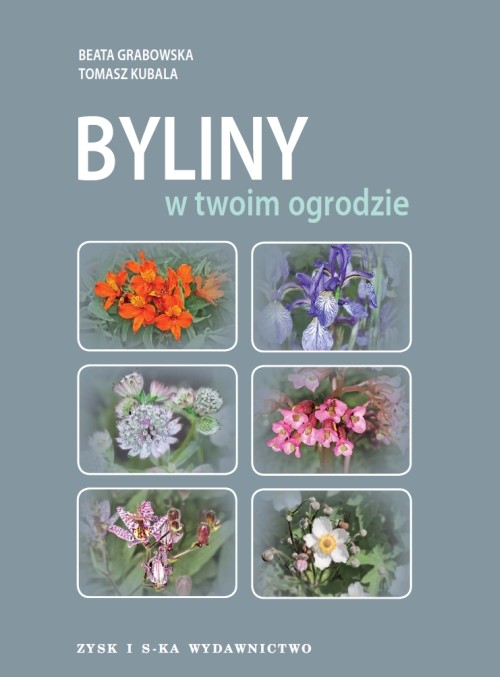 Image of Byliny w twoim ogrodzie