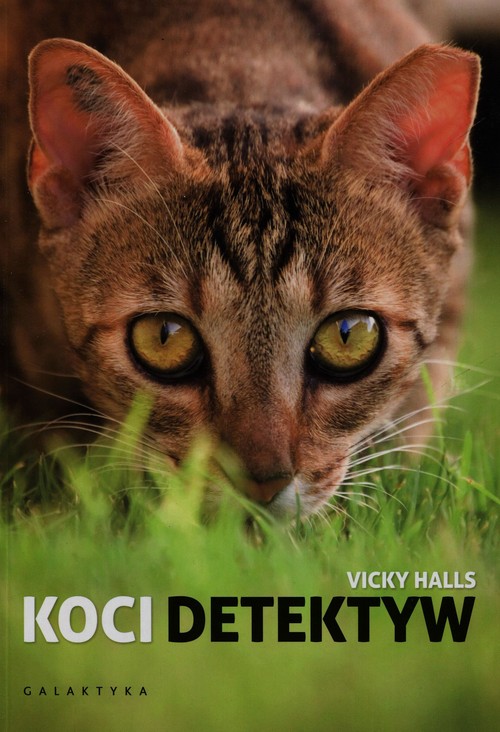 Image of Koci detektyw
