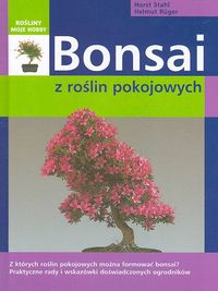 Image of Bonsai z roślin pokojowych