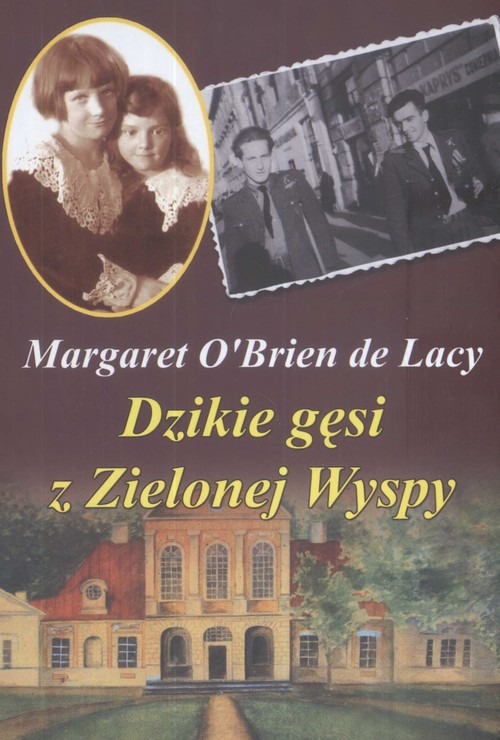 Image of Dzikie gęsi z Zielonej Wyspy
