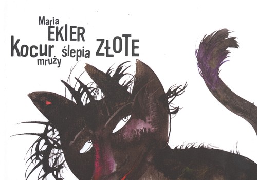 Image of Kocur mruży ślepia złote