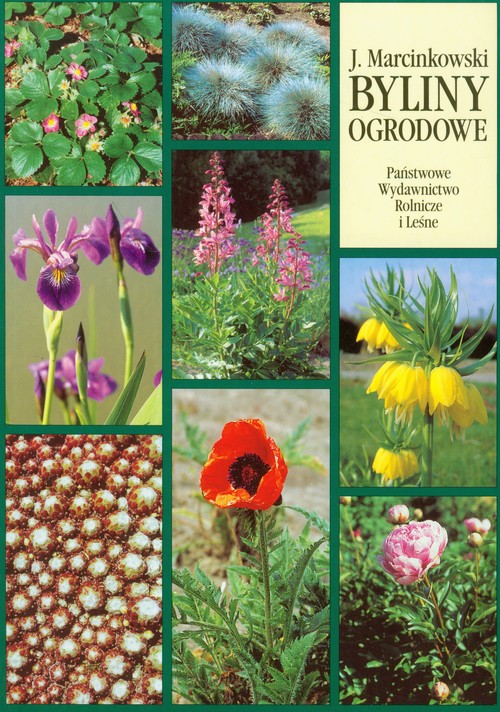 Image of Byliny ogrodowe - produkcja i zastosowanie