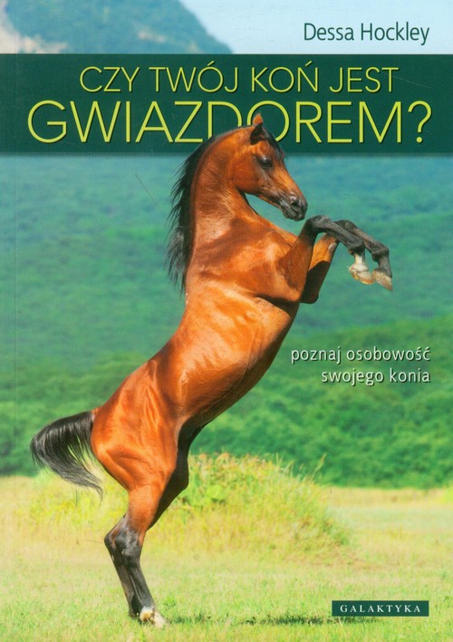 Image of Czy twój koń jest gwiazdorem? poznaj osobowość swojego konia