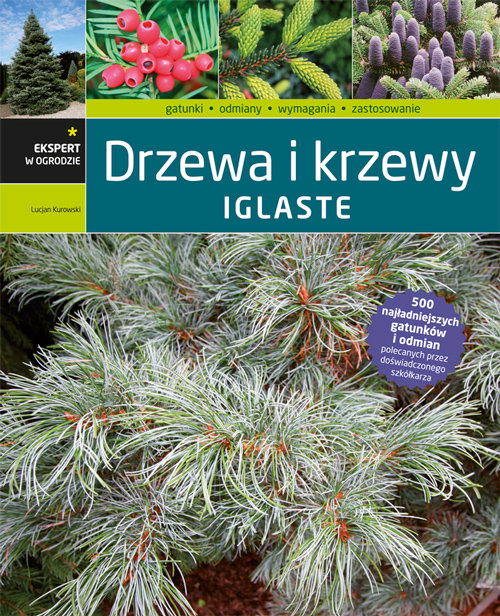 Image of Drzewa i krzewy iglaste
